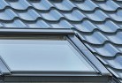 Trinity Parkskylight-replacements.jpg; ?>